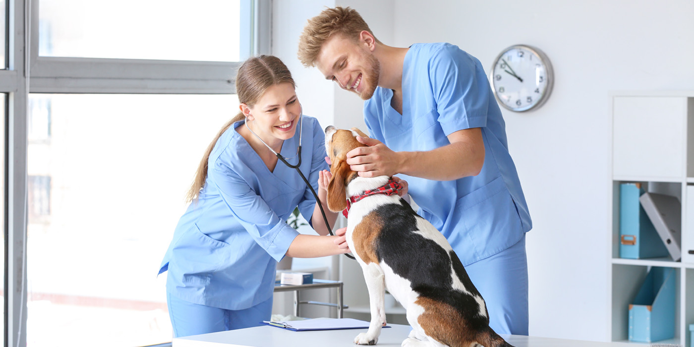 Veterinary Assistant with dog