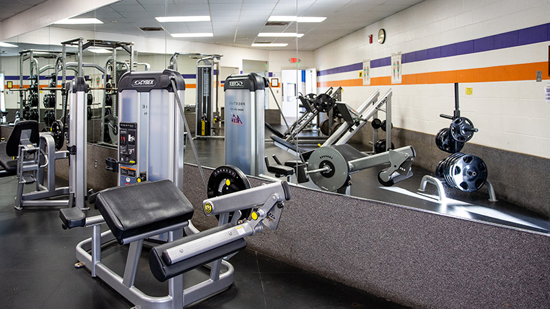 Students using exercise equipment