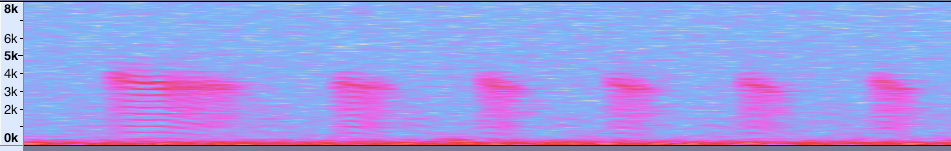 Garrulus Call 6 Pulse