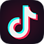 TikTok Icon