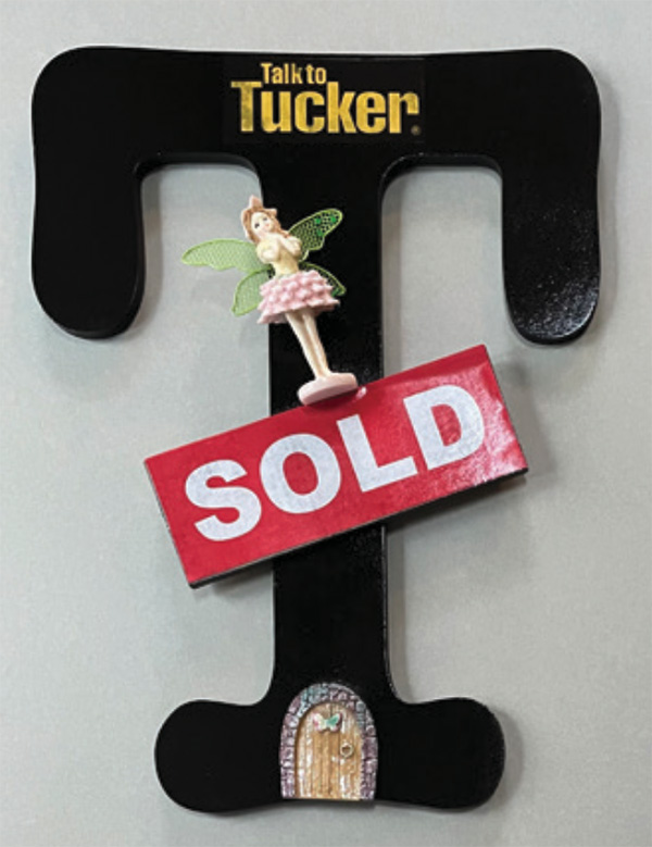 Tucker fairy door