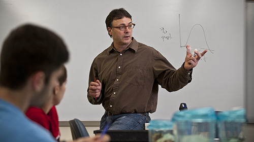 Biology faculty teaching