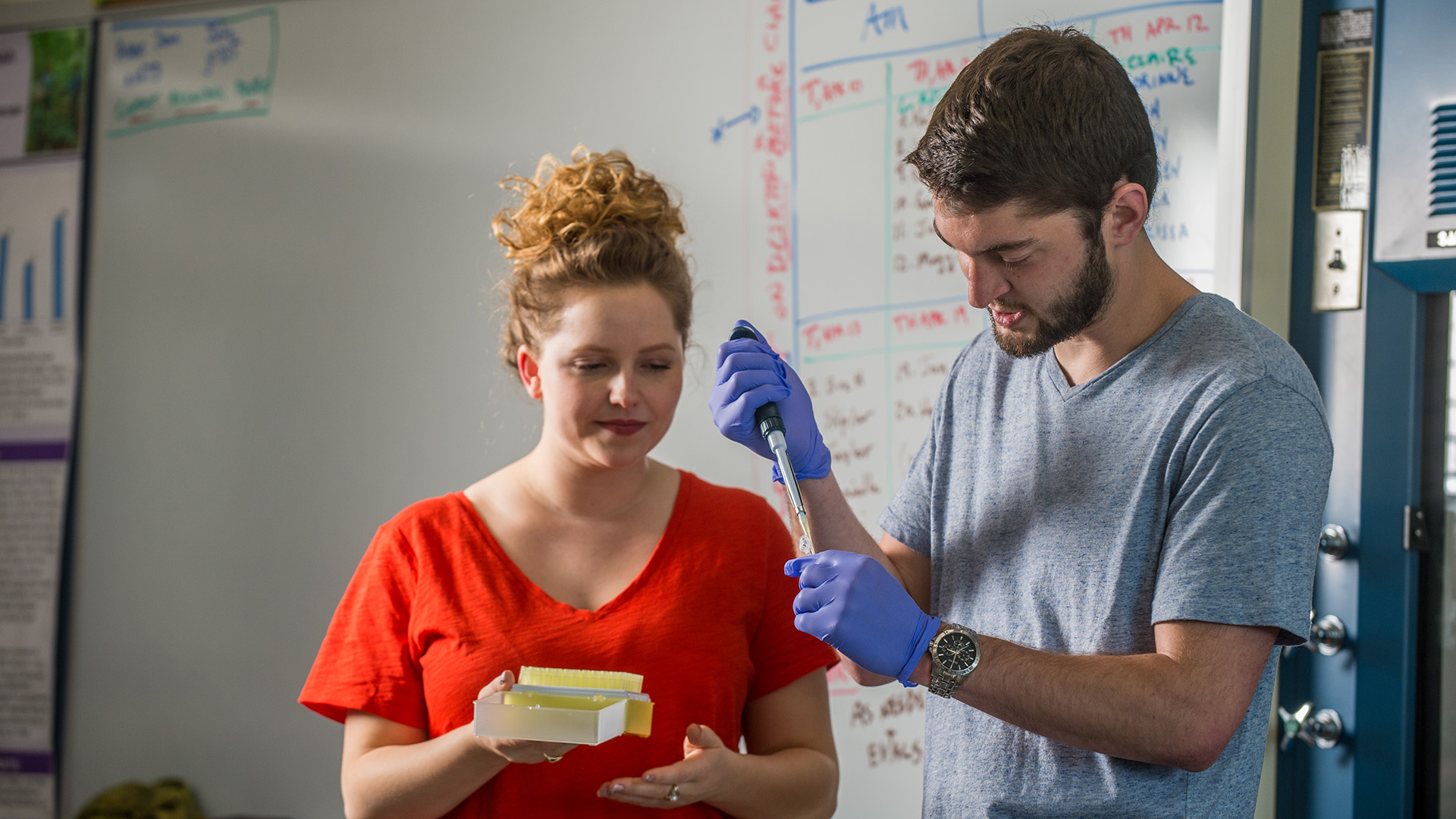 Biology students in lab one wearing gloves