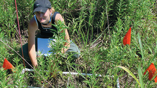 Biology student in the Vectren Conservation Park