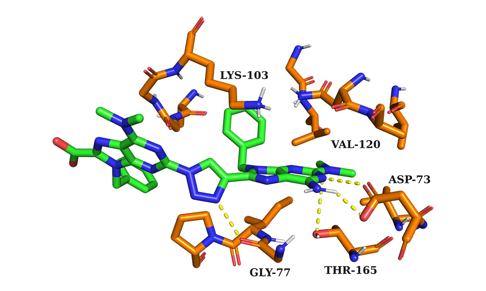 The binding mode of the target compound in the ATP binding site of E.Coli gyrase B using Autodock Vina