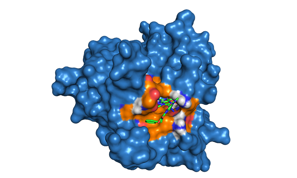 Target compound in the ATP-binding site of E. Coli gyrase B using Autodock Vina