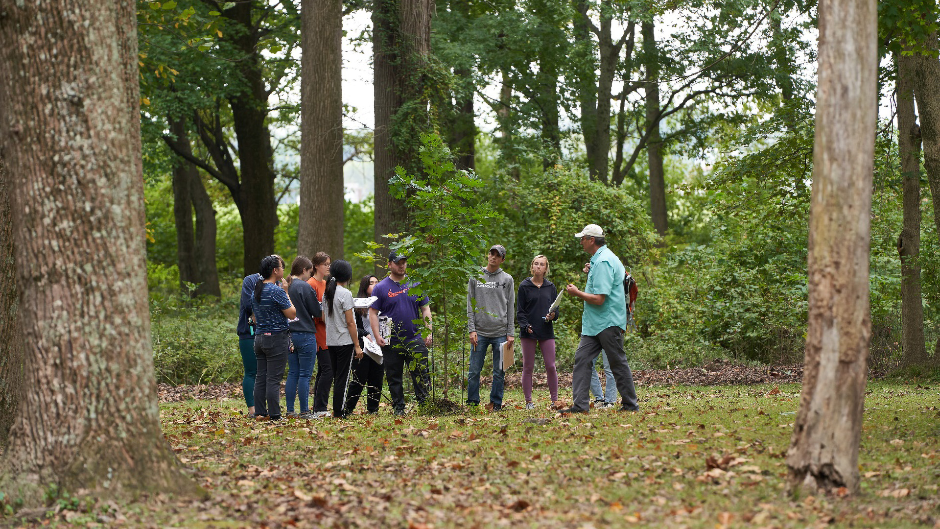 Environmental Studies class in the woods