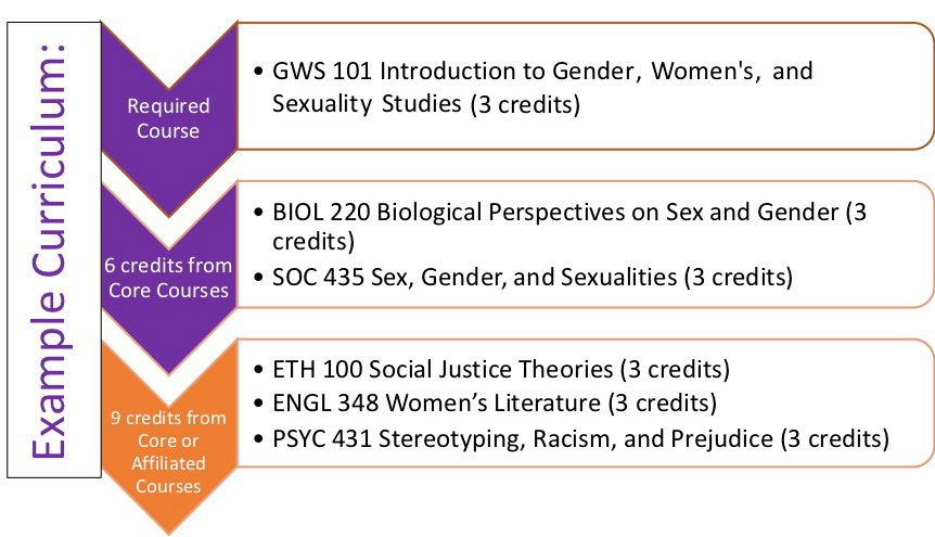Gender and Women's Studies Requirements Graphic