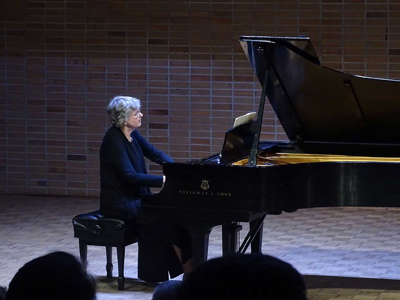 Faculty Recitals (Spring 2018)