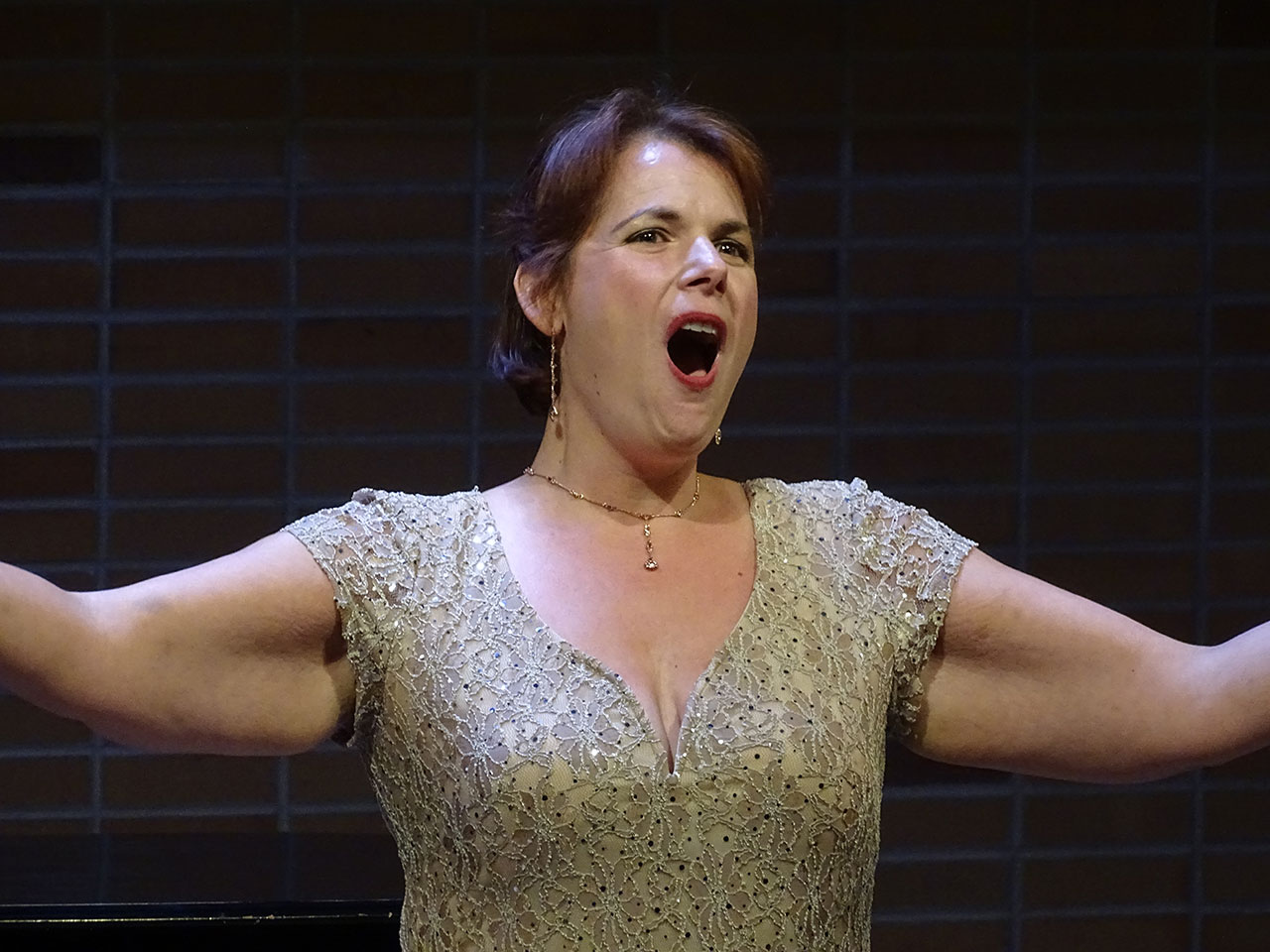 Faculty Recitals (Spring 2019)