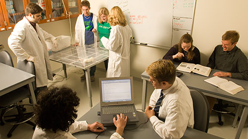 Neuroscience students collaborating in lab