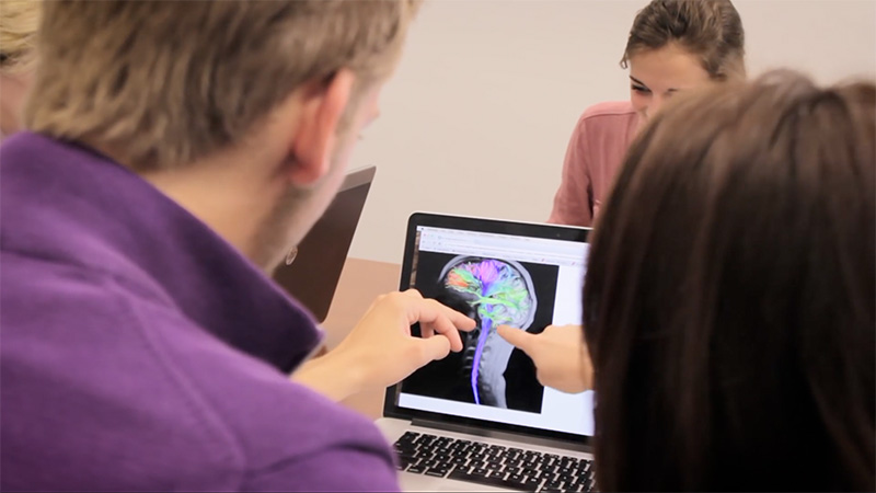NeuroMarketing students studying MRI scan on laptop