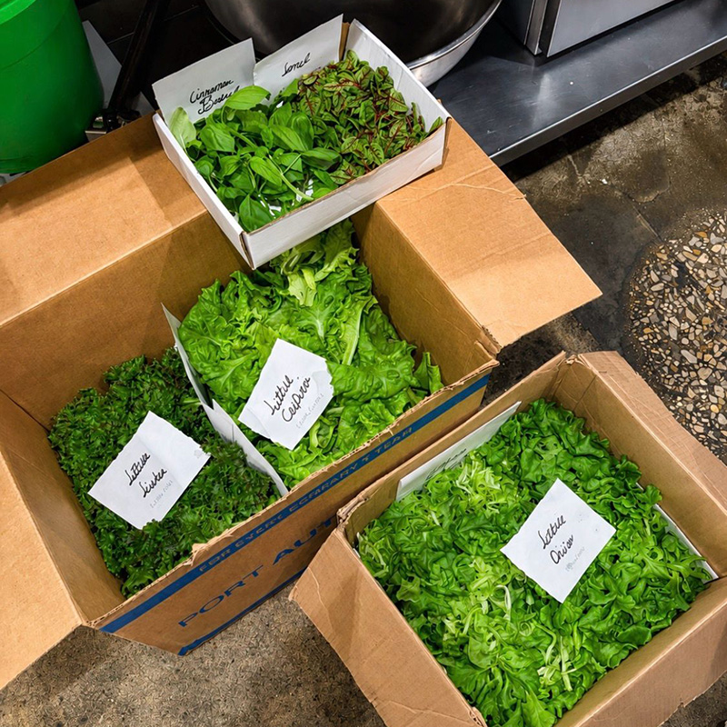 Boxes of fresh produce