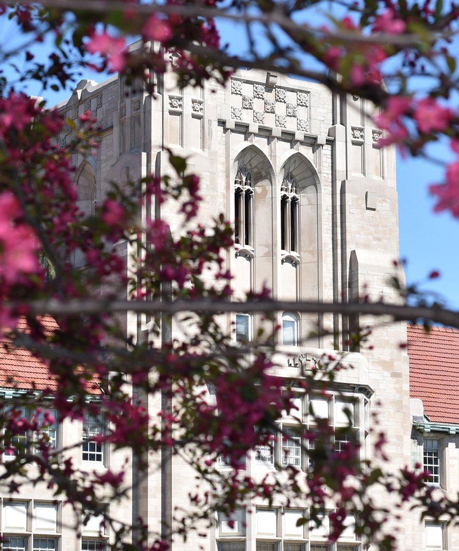 Olmsted tower zoomed in in Spring