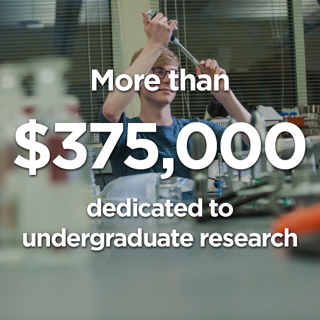 More than $375,000 dedicated to undergraduate research